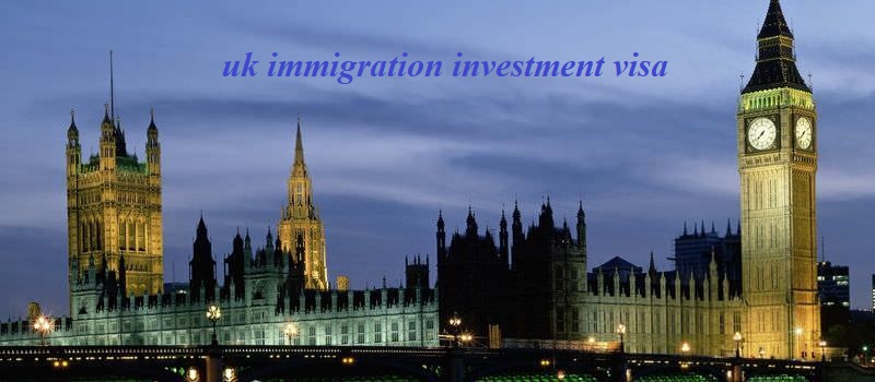 uk immigration investment visa